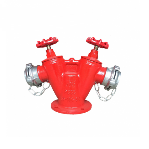 Đầu Trụ Chữa Cháy 2 Cửa Ra D65